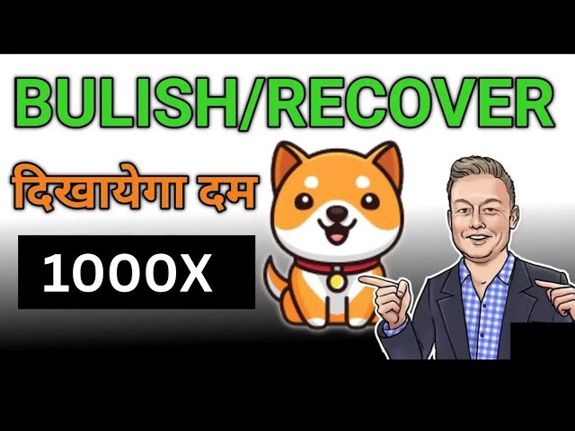 Baby Dogecoin News Today | Burning | BabyDoge Coin Price Pump 1000x | Binance Listing