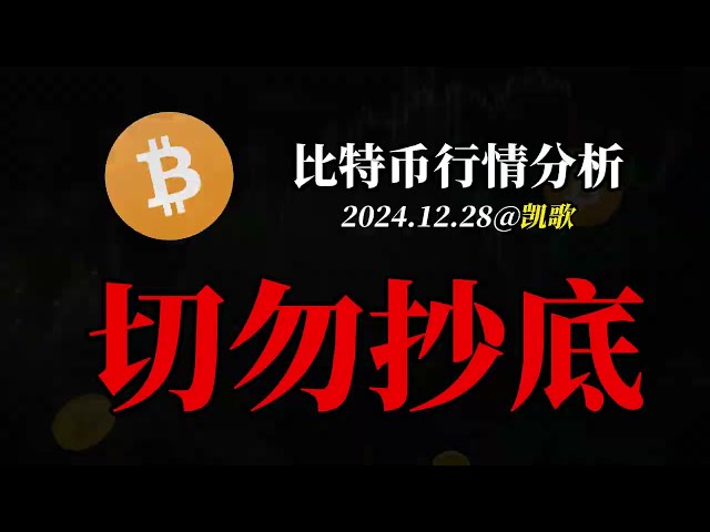 【ビットコイン市場分析】2024.12.28 下値変動継続、底値買いは急がない