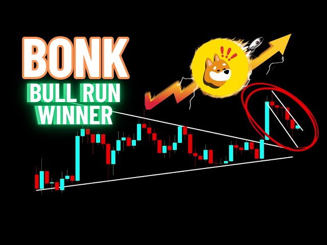 BONK Crypto Coin Le gagnant du Bull Run !