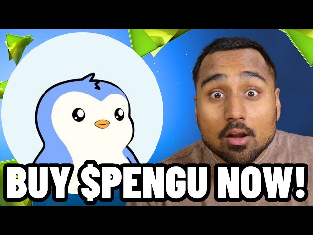 KAUFEN SIE $PENGU VOR DEM 1. JANUAR 2025!!! Die Pudgy Penguins-Münze wird 100-fach vervielfacht!!! $PENGU-PREISVORHERSAGE!!