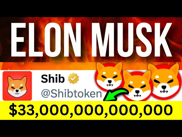 埃隆·马斯克刚刚做到了！ $33,000,000,000,000 柴犬疯狂！柴犬硬币新闻更新