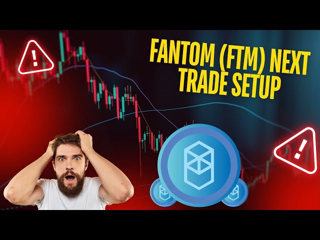 🚨FANTOM (FTM)-INHABER HANDELN JETZT ODER VERPASSEN DIES [MACHEN SIE SICH BEREIT]