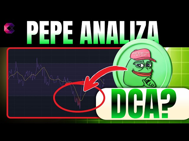 PEPE COIN 价格预测 | ELON 撰写有关 PEPE 的文章 - 是时候进行 DCA 了吗？！