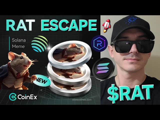 $RAT - RAT ESCAPE TOKEN CRYPTO COIN HOW TO BUY COINEX GLOBAL SOL SOLANA RAYDIUM XT LBANK TOOBIT PLAN