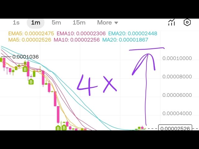 sol coin vs bonk memes 技术分析图表