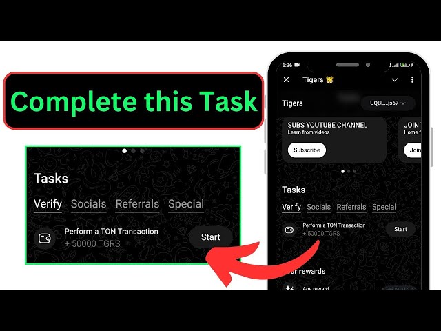 Tiger Airdrop을 확인하는 방법: 작업 완료 및 TON 거래 만들기