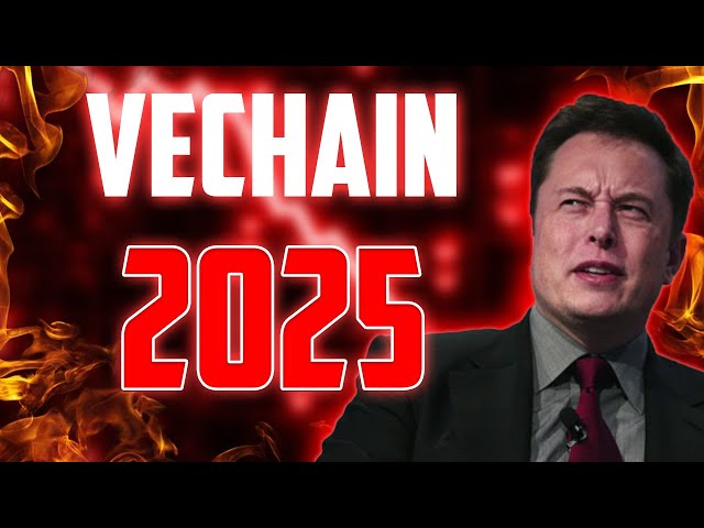 VET IN 2025 WILL SHOCK THE WORLD - VECHAIN PRICE PREDICTIONS FOR 2025 & FORWARD