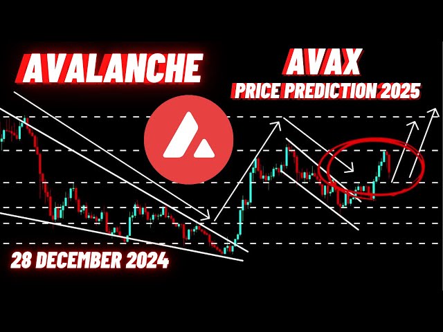 Avalanche AVAX 加密货币价格预测 2025 年