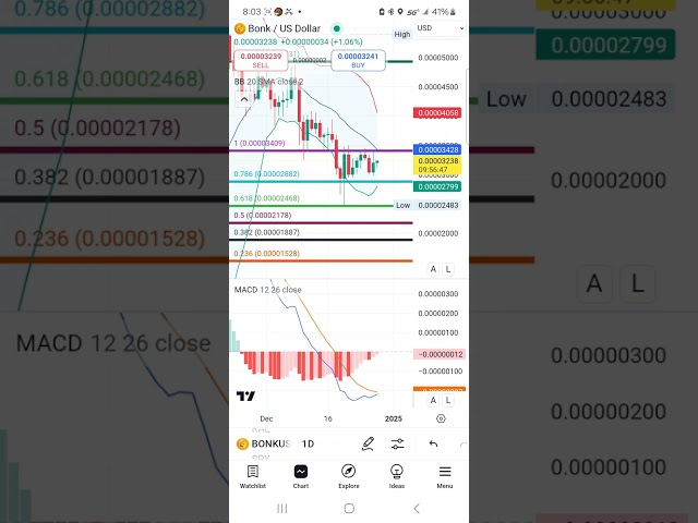 bonk 코인 기술적 분석 및 예측. 로켓으로 🚀