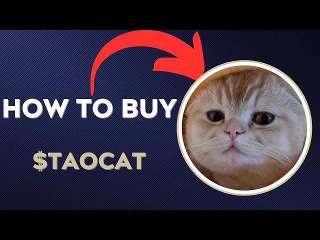 60초 안에 $TAOCAT TAOCAT BY VIRTUALS TOKEN 암호화폐를 구매하는 방법