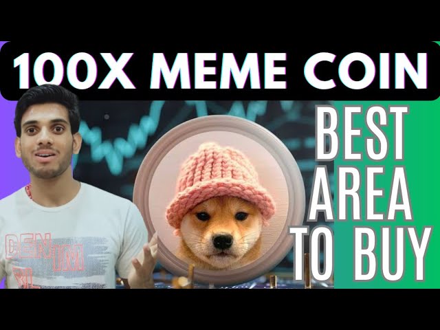 This Meme Coin Will Give You 100X.WIF Coin Price Prediction.