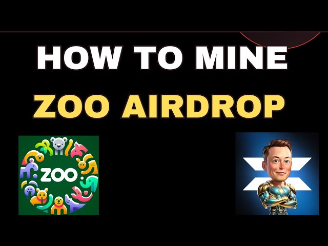 HOW TO MINE ZOO TOKEN. SUPPORTED BY X EMPIRE