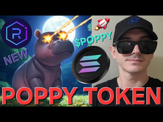 $POPPY - POPPY 토큰 암호화폐 PYGMY HIPPO MEMECOIN ZOO SOLANA RAYDIUM SOL JUPITER MEME 구매 방법