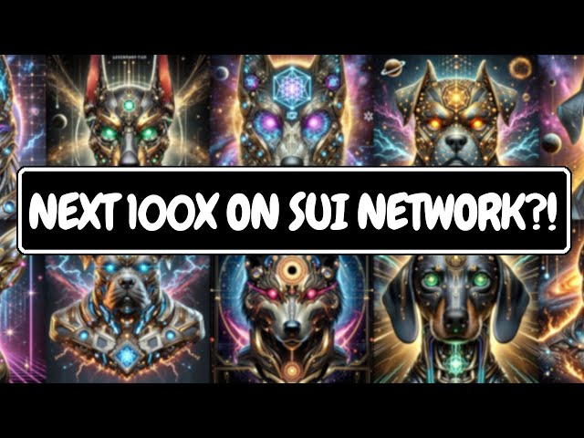 🔥Sui Network 最好的隐藏宝石？ 📈 #SUIBORG Memecoin 具有 100 倍的潜力💎 #cryptogems #suinetwork