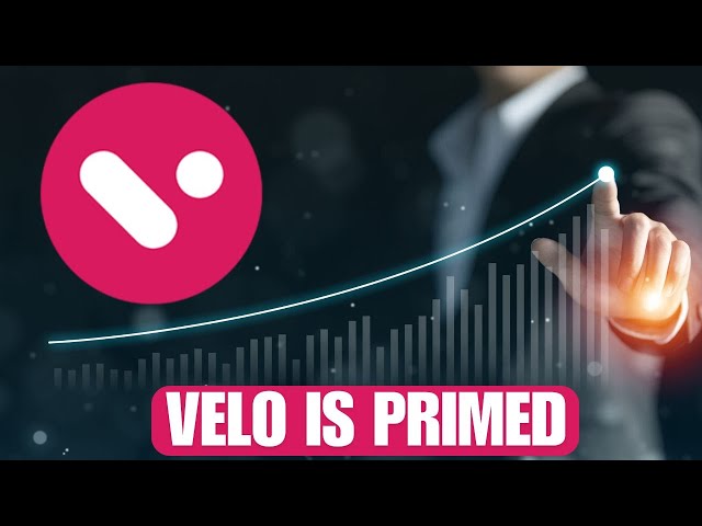 🚨 VELO LABS: VELO가 준비되었습니다!!!🚨