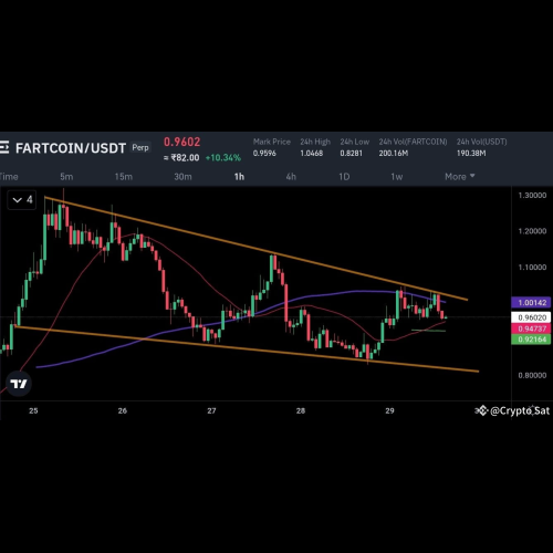 $FARTCOIN 分析 – 下一個重大舉措即將到來！