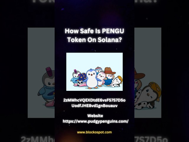 Solana 上的 PENGU 有多安全，請在 Blockospot 上了解#shorts #blockchain #crypto #solana #audit