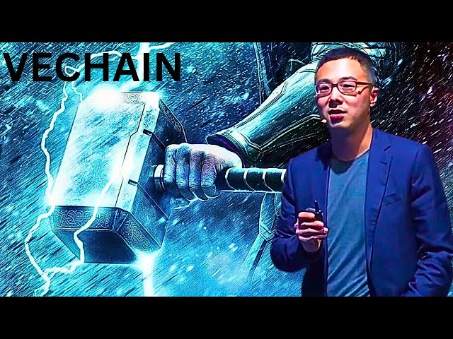 VeChain VET 뉴스: VeChain 채택이 VET의 달이 될 것입니다!