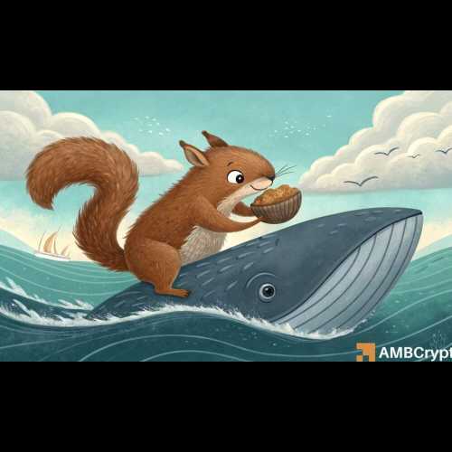 Peanut the Squirrel (PNUT) connaît sa première accumulation majeure de baleines, mais une reprise est-elle probable ?