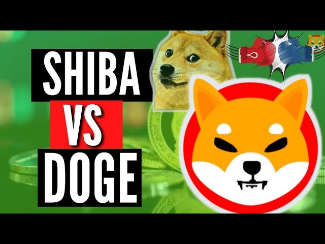 一定要看！狗狗币 DOGE VS 柴犬 SHIB 代币 | Crypto FIGHT Doge 硬币杀手