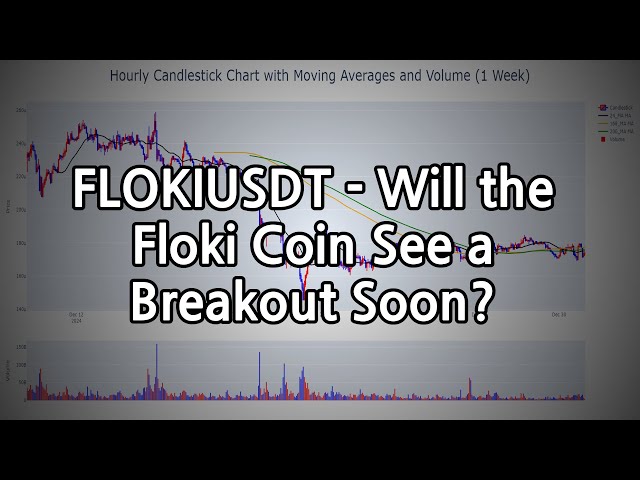 FLOKIUSDT – Wird die Floki-Münze bald einen Durchbruch erleben?