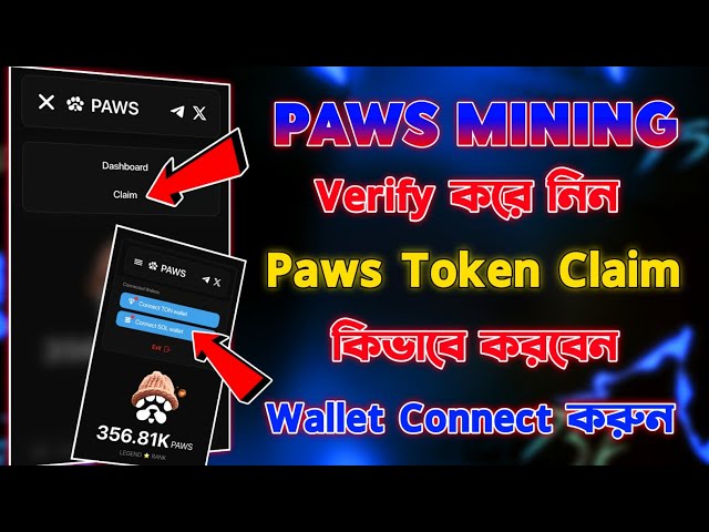 Paws Mining Vérifier ici | Processus de réclamation de jeton Paws | Paws Portefeuille Connect | Paws Nouvelle mise à jour aujourd'hui