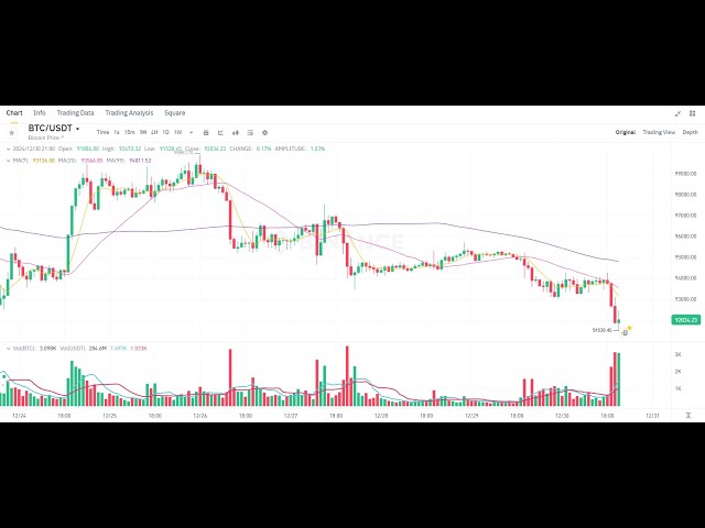 Shib Coin 라이브 암호화폐 트레이딩 | 2024년 12월 30일 실시간 거래 | 슈브로 무히드