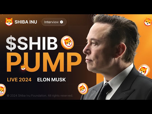 Shiba Inu: Elon Musk 및 SHIB 보유자는 SHIB당 $0.001를 예측 | 암호화폐 뉴스