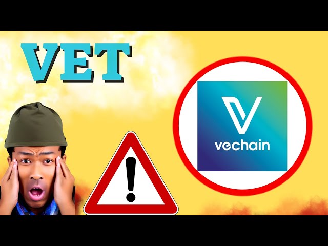 VECHAIN 預測 30/12 月 VET COIN 價格今日新聞 - 加密貨幣技術分析立即更新價格