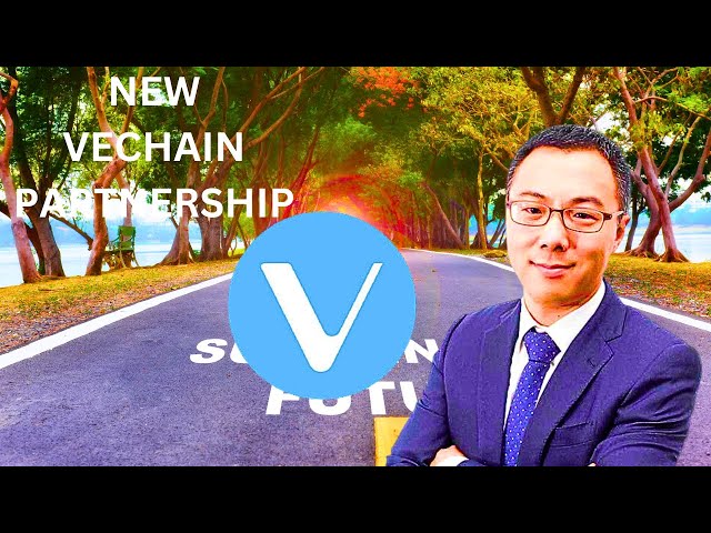 VeChain VET News: VeChain gibt neue Partnerschaft bekannt! Die Berufsbildung wächst weiter!