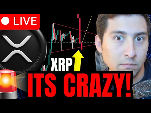 XRP ライブで XRP の醜い操作が発生しています!🔴残り時間は 24 時間です