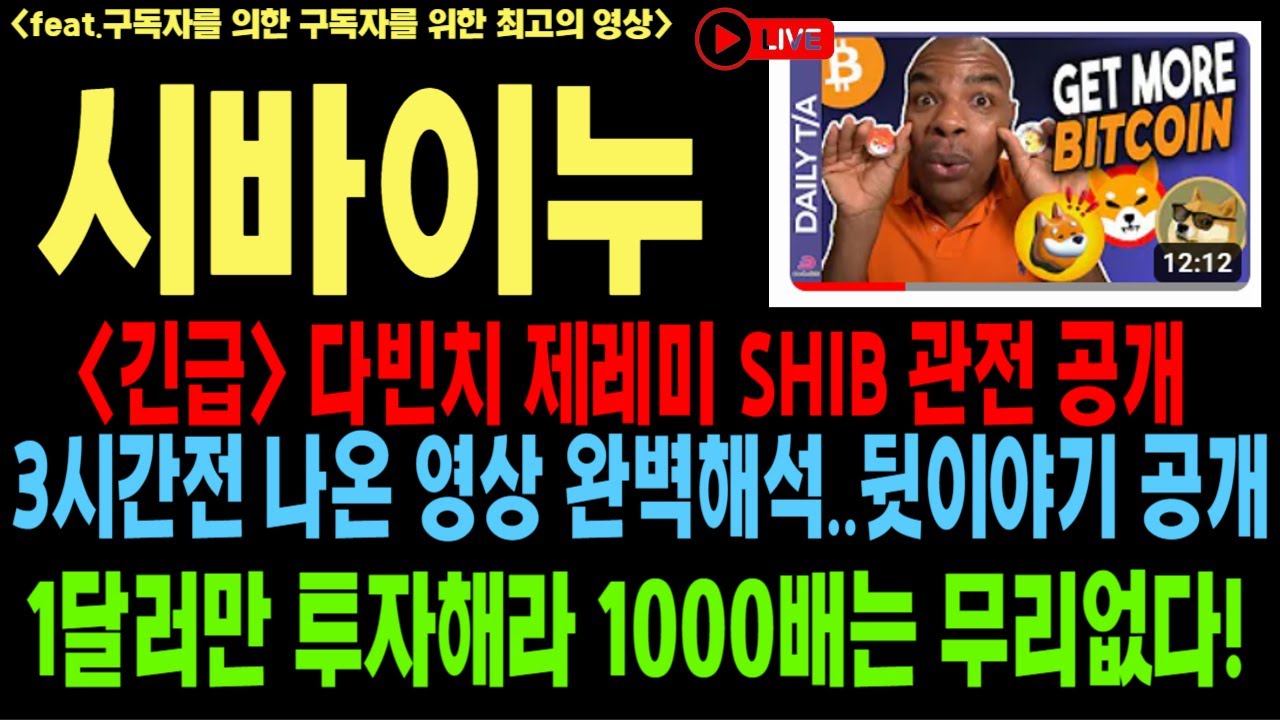 Sibainu Sibainu Coin Sibainu Coin 展望 SHIB DOGE Elon Musk Da Vinci Jeremy Sibainu 分析 硬币展望 比特币 以太坊 狗狗币