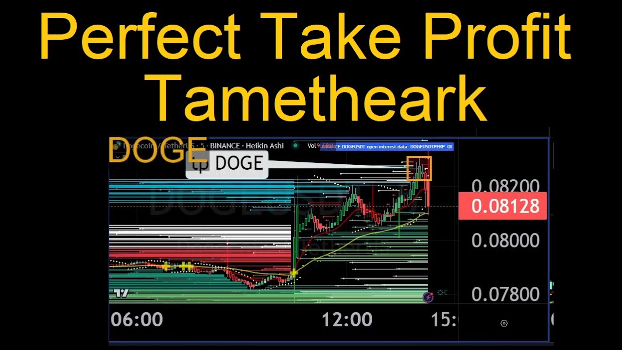今天早上狗狗幣多頭完美獲利了結。塔姆瑟克