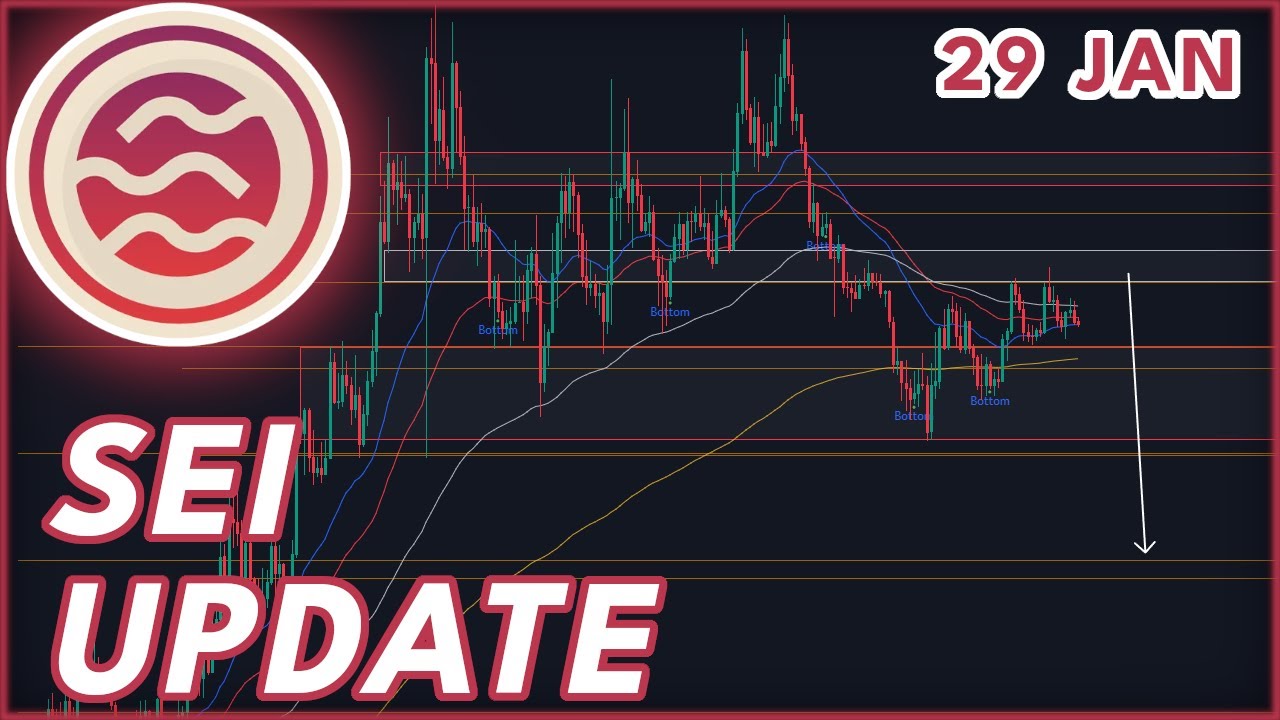 SEI가 곧 회복될까요?? | SEI 네트워크 가격 예측 2024!