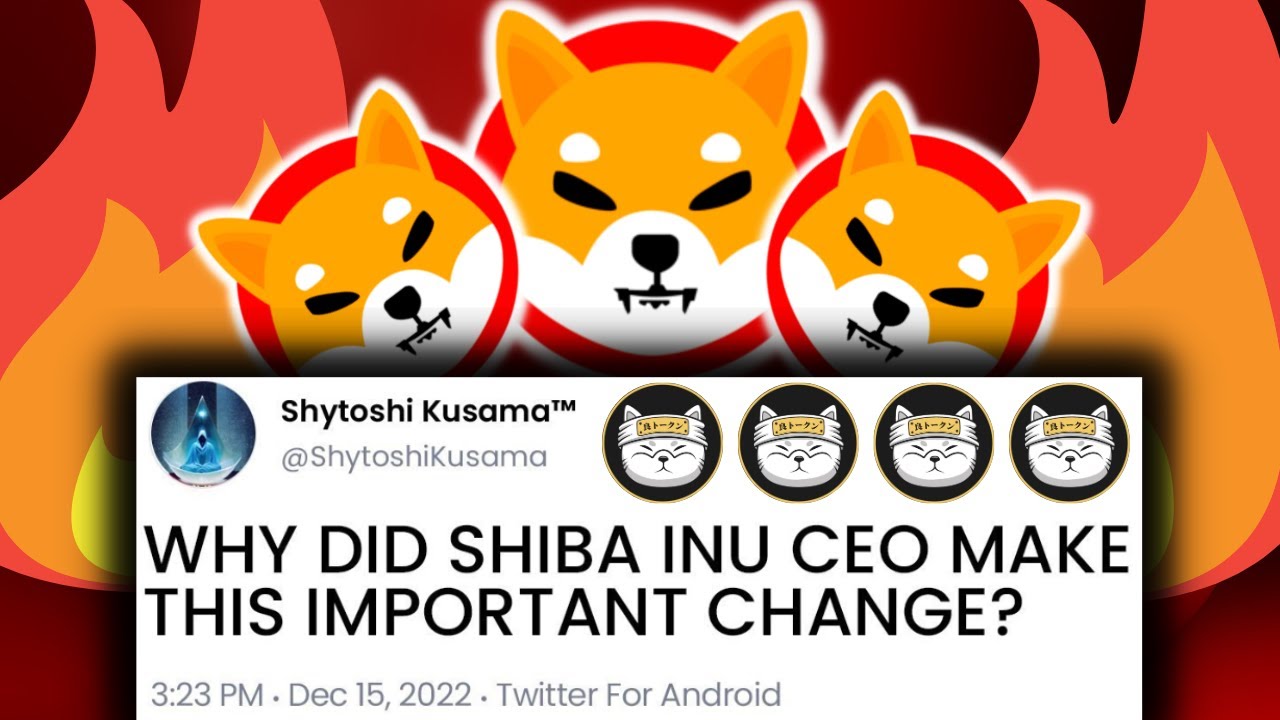 시브 뉴스! 2분 전: 이것은 사상 최대의 시바견 순간입니다!!! 오늘의 SHIBA INU 코인 뉴스