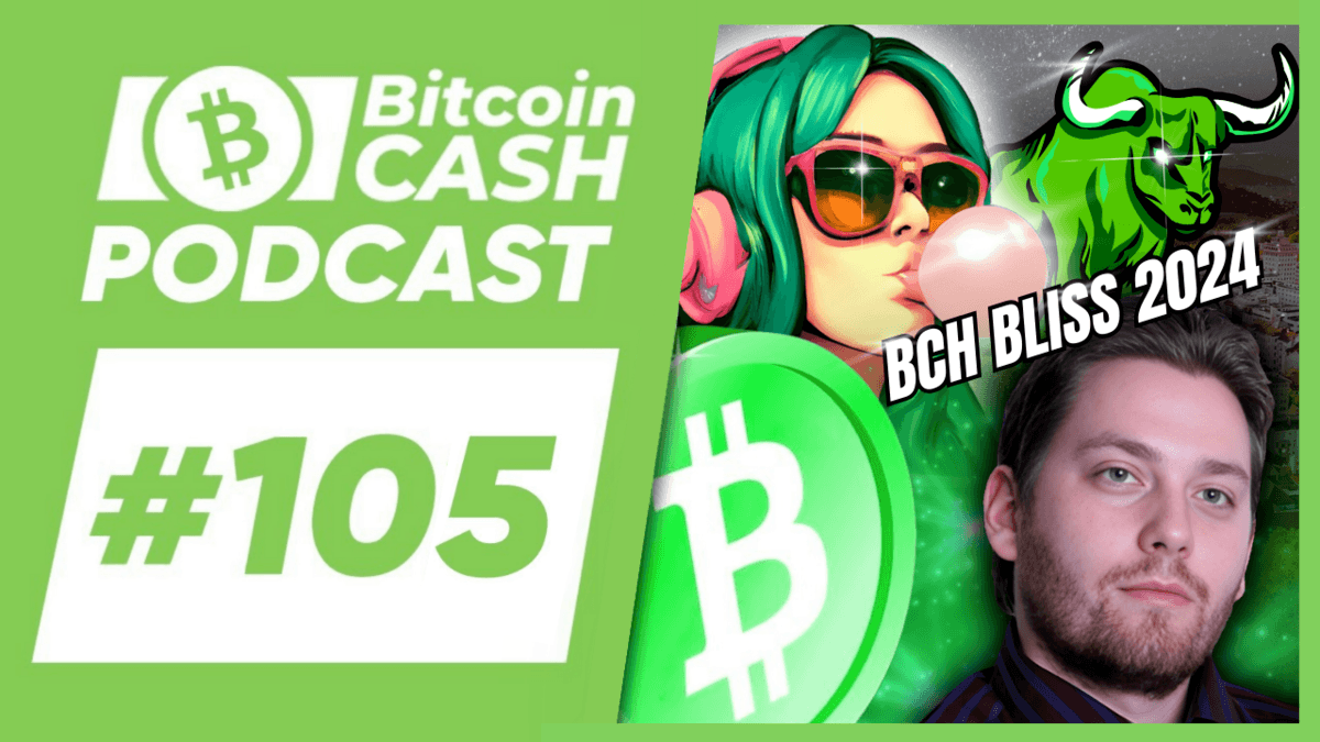 BitcoinCash Weekly News January 29th 2024 by the Bitcoin Cash Foundation