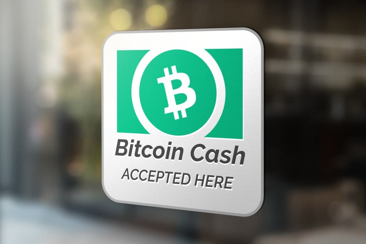 Fondation Bitcoin Cash Actualités hebdomadaires Bitcoin Cash 29 janvier 2024