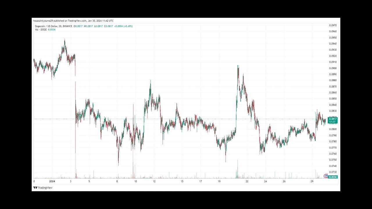 Die Einführung von Dogecoin steigt um 1.100 %, Trailer für zukünftige Preisentwicklung?