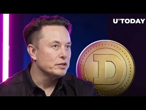 Dogecoin (DOGE) nach Las Vegas? Elon Musks X sichert sich neue Lizenz in wichtigem US-Bundesstaat