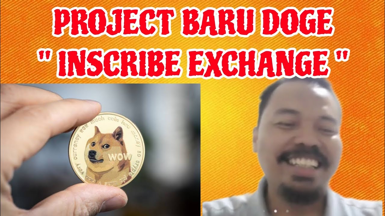 Doge Coins New Project INSCRIBE EXCHANGE Profits Every Day