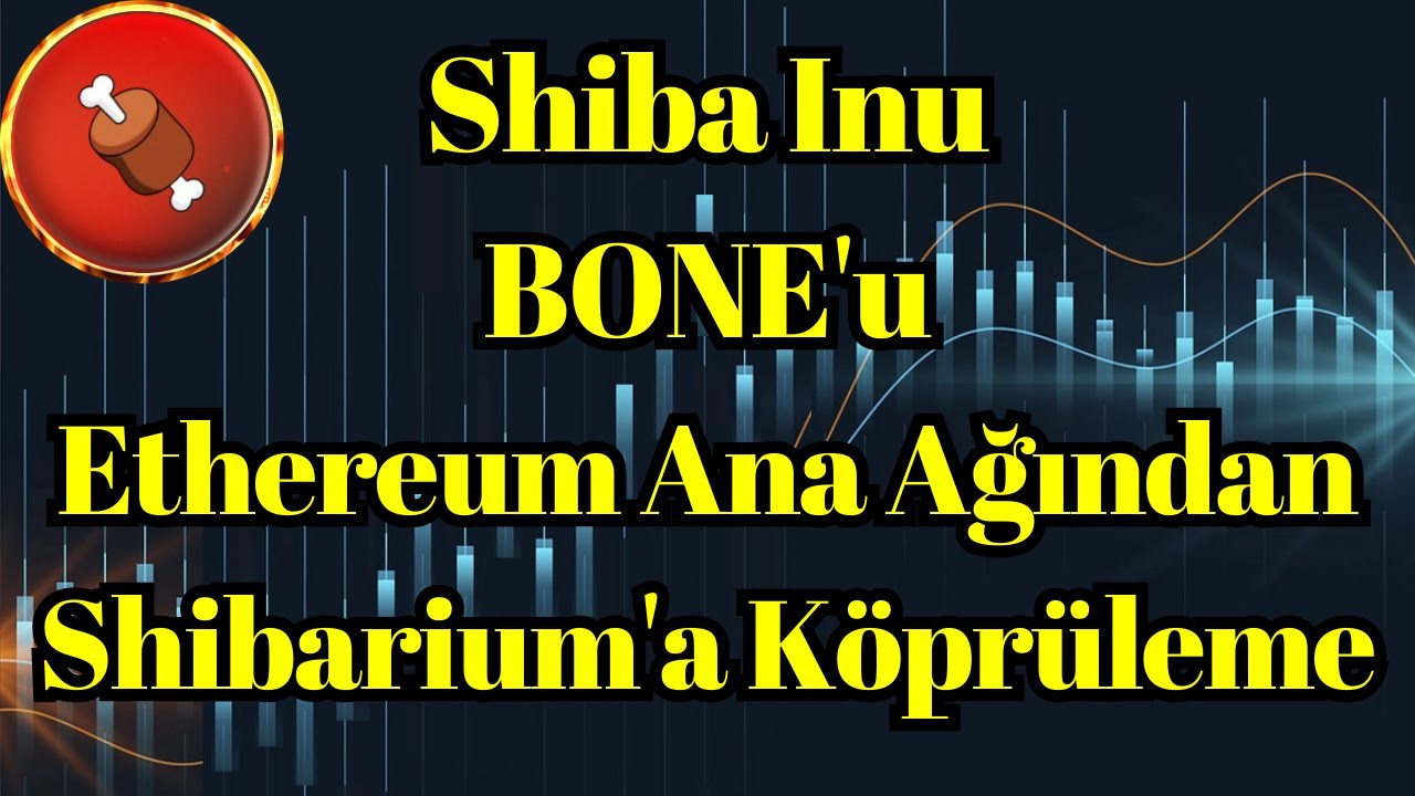 Actualités Crypto Voix | Comment Shiba Inu reliera BONE du réseau principal Ethereum à Shibarium