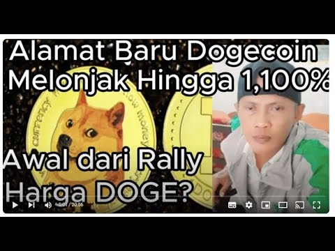 Dogecoin 새 주소가 최대 1,100% 급등합니다.