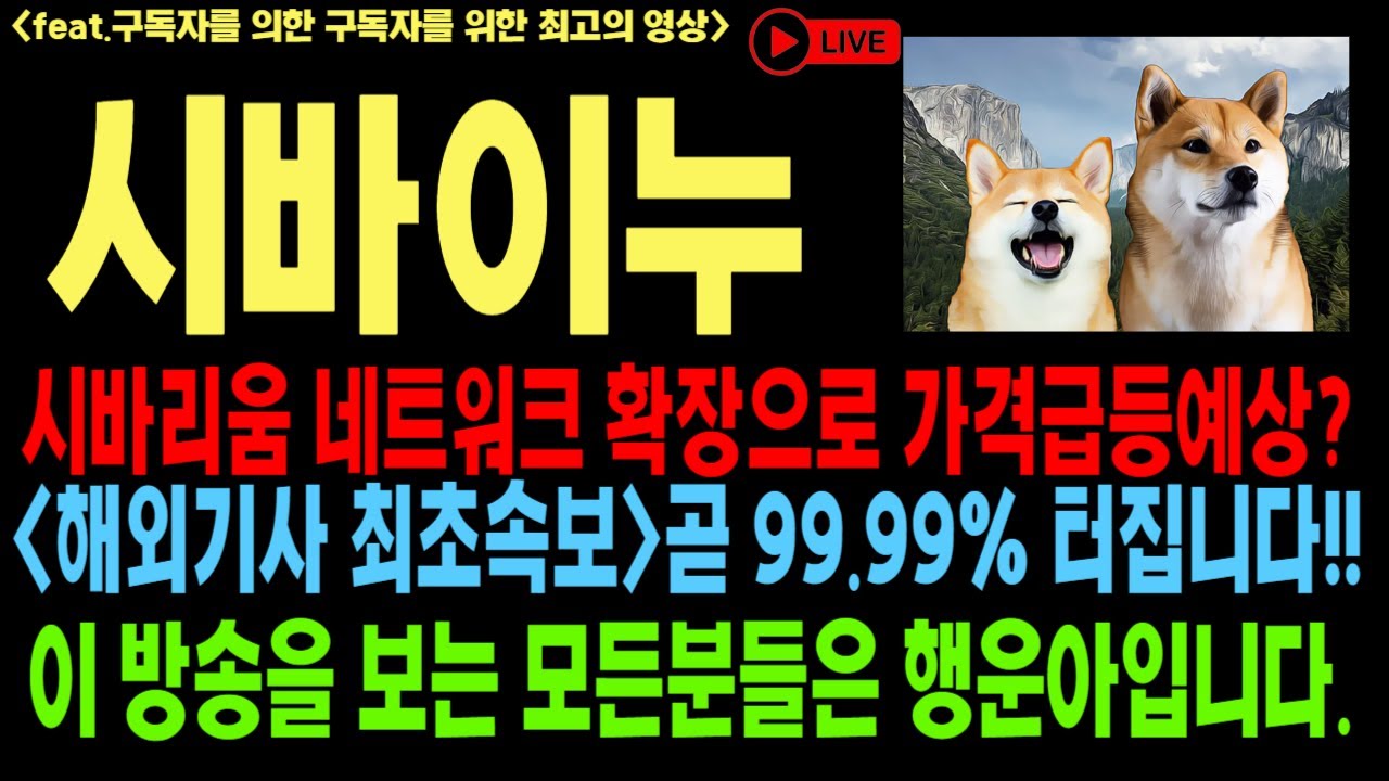 시바이누 시바이누코인 시바이누코인전망 SHIB DOGE 일론머스크 다빈치 제레미 대량축적 소각 시바리움 메인넷 레이어2 밈코인 코인전망 비트코인 이더리움 도지코인