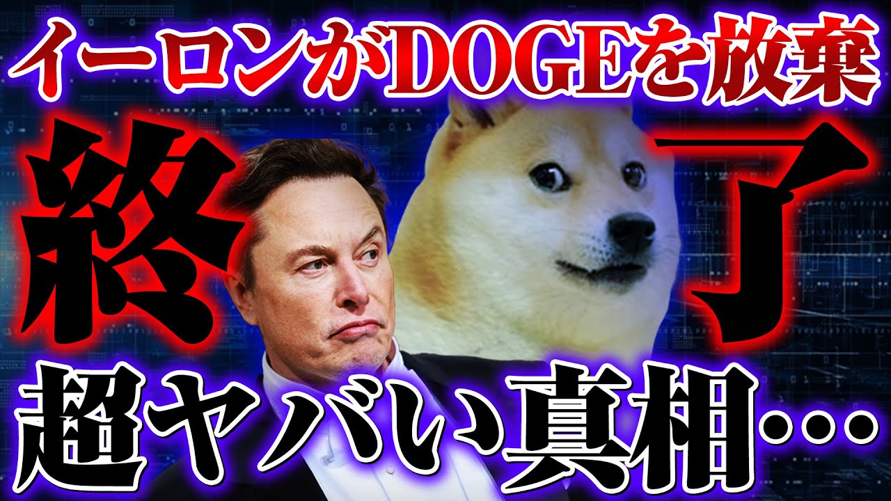 【가상화폐】이론 마스크가 DOGE를 포기!!업계에 격진!!사태의 진상을 향후의 가격 동향을 철저 해설!!【X결제 통화】【도지 코인】【SHIB】【시바개 코인】【XRP】【리플 】【CAW】