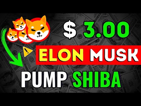 馬斯克 (Elon Musk) 決定再次將 SHIBA INU 推高 - SHIIB 一夜之間漲至 3.00 美元！柴犬新聞預測