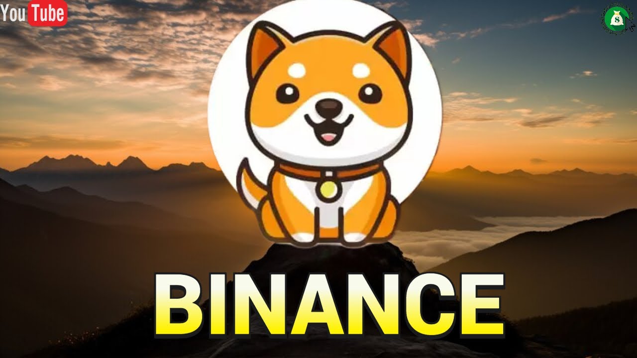 Do you now see Baby DogeCoin and Binance?