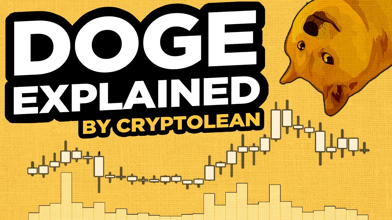 Dogecoin DOGE Price Prediction [February 2024]