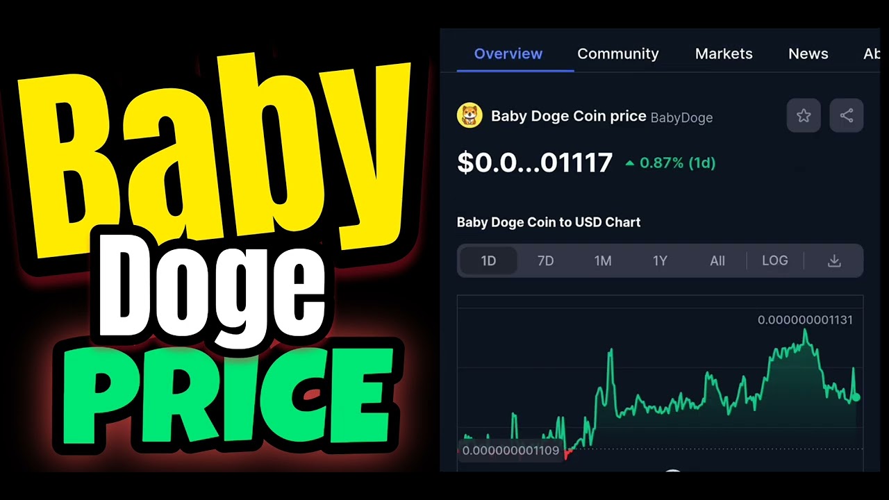 Baby Doge 硬幣價格 2024 年 2 月