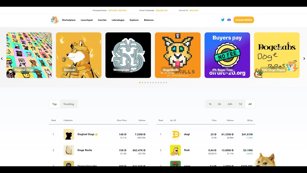 Comment créer un portefeuille Doge Labs expliqué en une minute