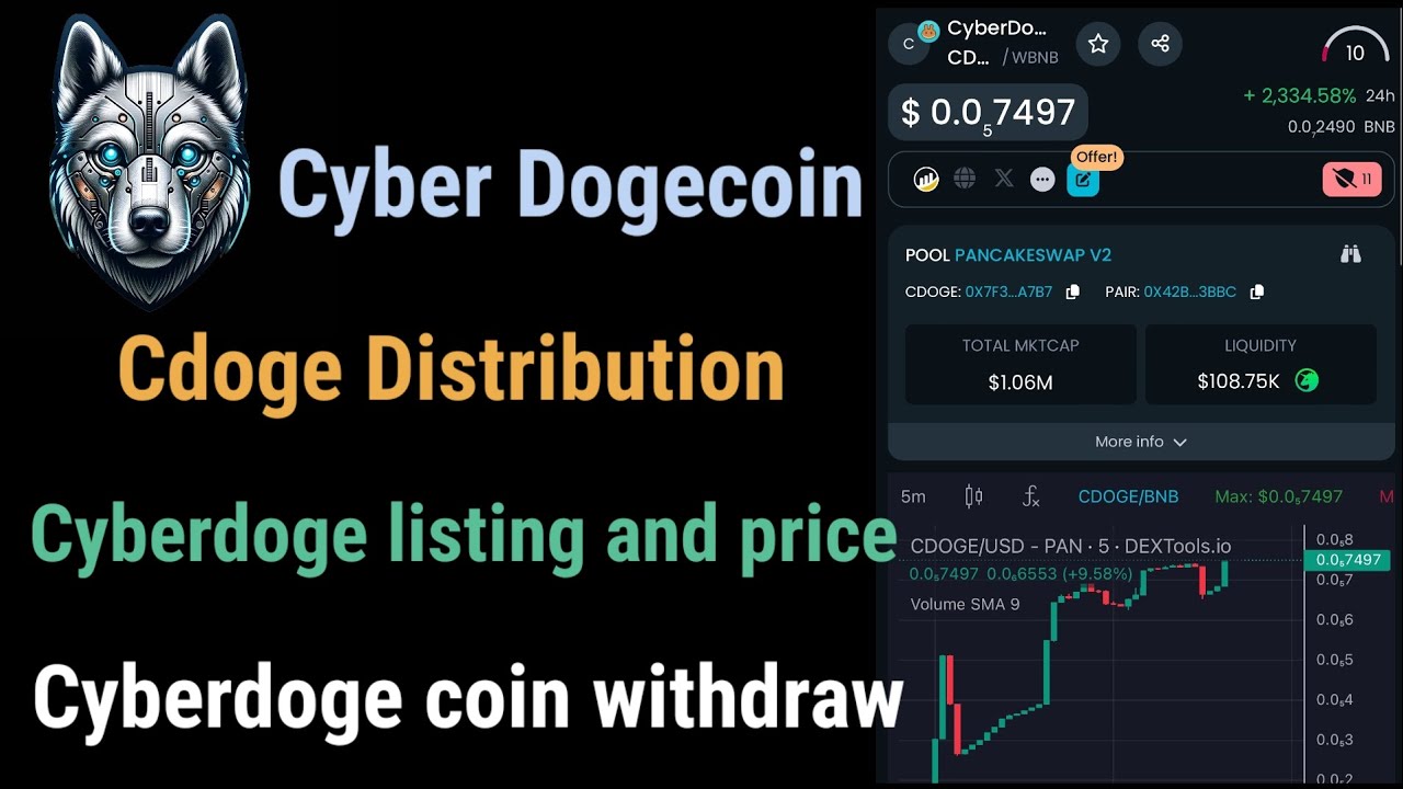 Largage aérien du Cyber ​​Doge | Prix ​​d’inscription du CyberDoge | Retrait du Cyber ​​Dogecoin |